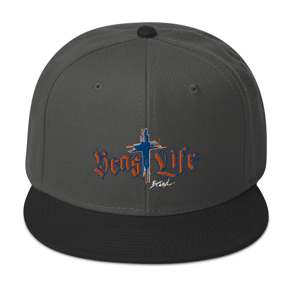 Flat Brim Snapback Hat - Dark colors / BeastLIFE Logo
