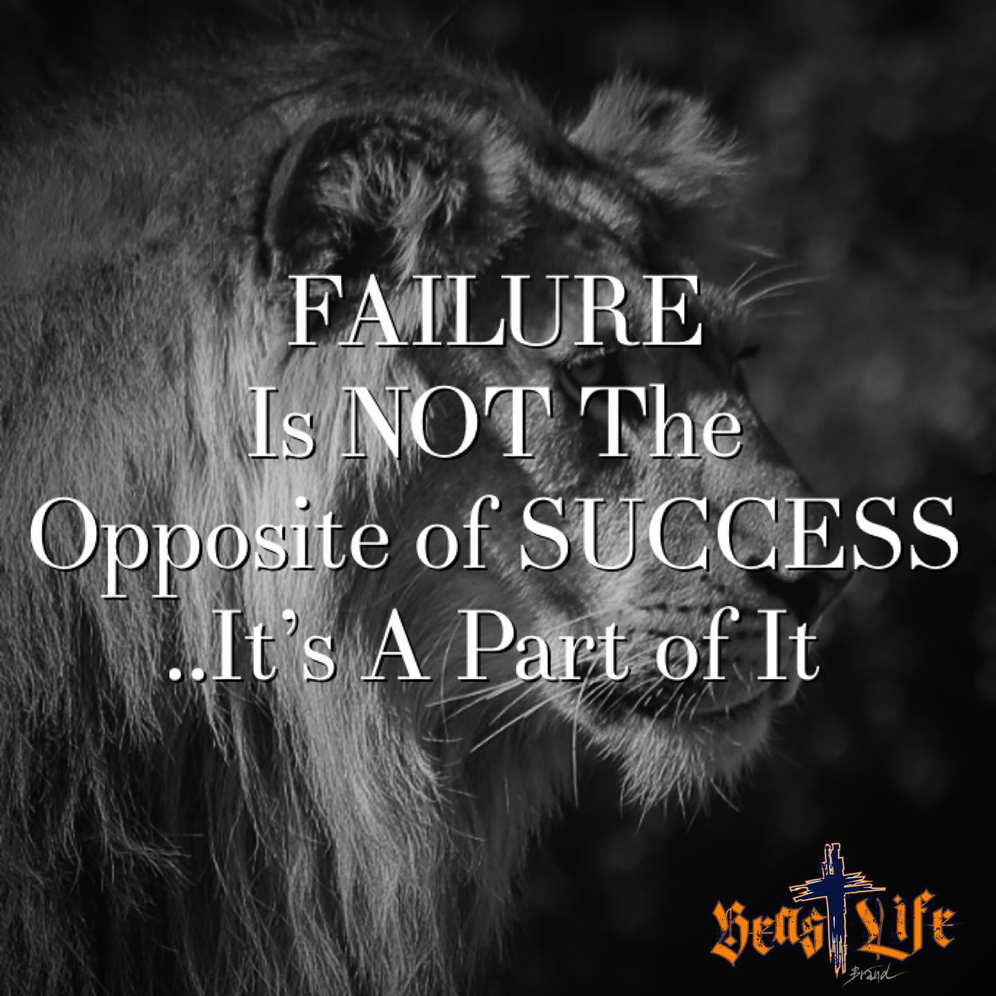 From Self Doubt to Dominion Reclaiming Your Authority in Christ