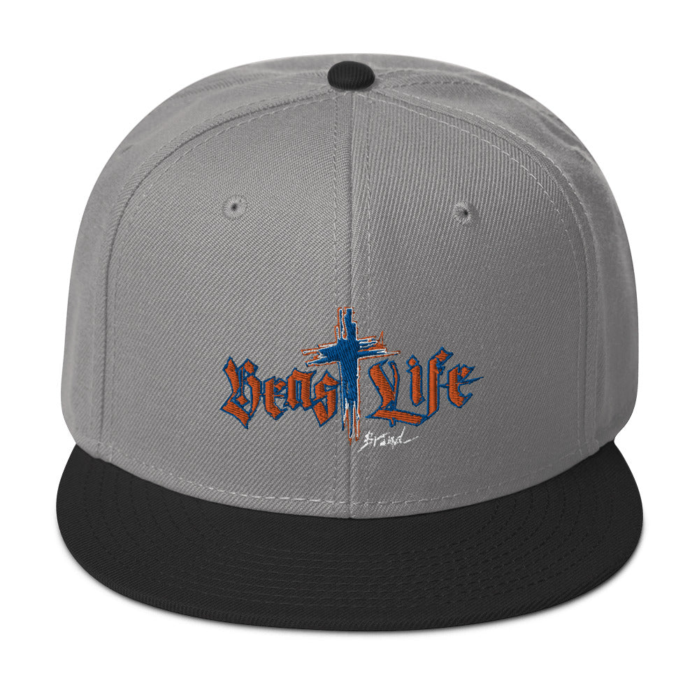 Flat Brim Snapback Hat - Dark colors / BeastLIFE Logo